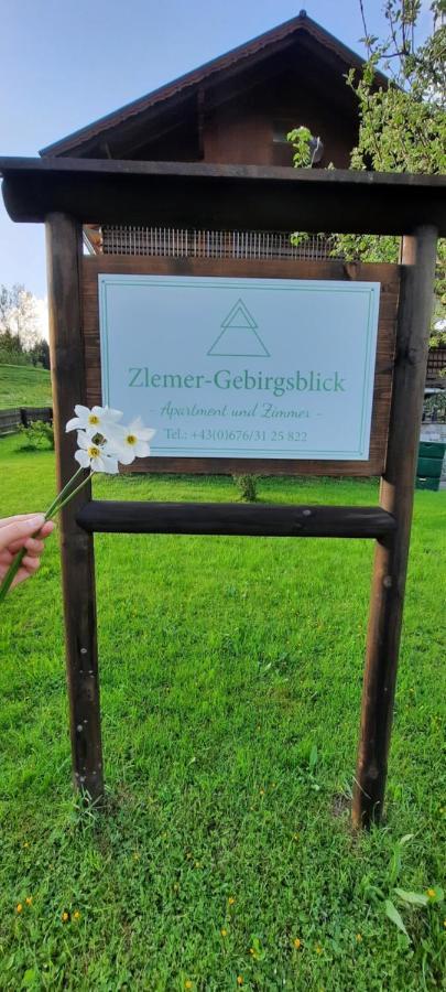 Zlemer - Gebirgsblick Tauplitz Luaran gambar
